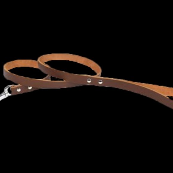 Dog leash 39.4x0.6in / 1m x 1.5cm - Picture 2 of 2